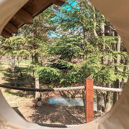 Medve Dome - Luxury Camping In The Middle Of Nature Hotel Vlahita Exterior foto