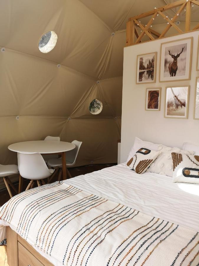 Medve Dome - Luxury Camping In The Middle Of Nature Hotel Vlahita Exterior foto