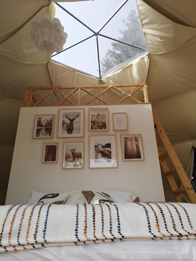 Medve Dome - Luxury Camping In The Middle Of Nature Hotel Vlahita Exterior foto