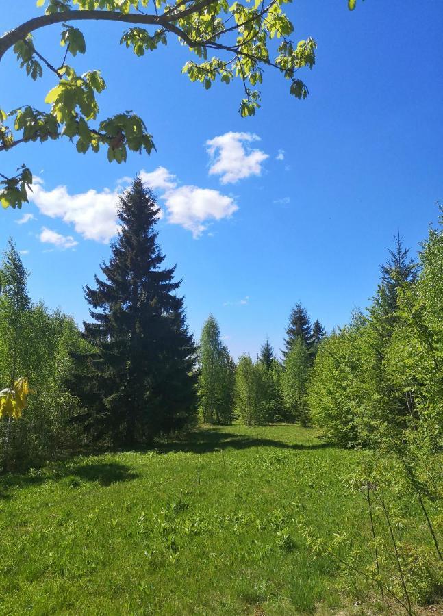 Medve Dome - Luxury Camping In The Middle Of Nature Hotel Vlahita Exterior foto