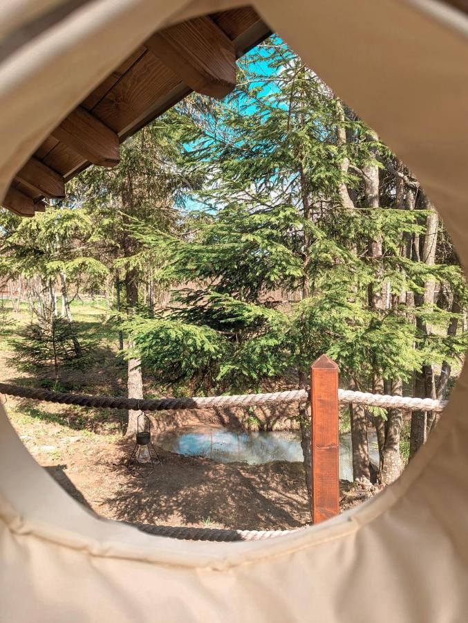 Medve Dome - Luxury Camping In The Middle Of Nature Hotel Vlahita Exterior foto
